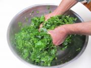 Scade tensiunea si detoxifica orgnismul! Vezi cele zece utilizari ale plantei pe care romanii o calca in picioare!