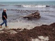 Un SCHELET URIAS a fost descoperit pe o plaja din Australia! FOTO + VIDEO