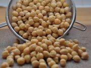 Zece beneficii ale NAUTULUI si minunile humusului in alimentatia ta!