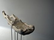 Arta contemporana cu care UN ROMAN a intrigat INTERNAUTII DIN TOATA LUMEA! Cum ti se pare?