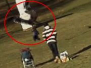 Cat de usor sunt pacalite TELEVIZIUNILE ROMANESTI! Mai tineti minte filmuletul in care un BEBELUS este rapit de VULTUR? VIDEO