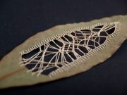 Delicatetea in arta broderiei poate fi dusa uneori la extrem! Cum arata niste frunze brodate la propriu!