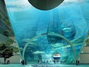 ECO ATLANTIS: Orasul viitorului, 100% ecologic! GALERIE FOTO