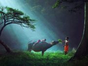 FOTOGRAFII MAGICE din diferite colturi ale lumii care arata BUCURIA de a fi copil! ROMANIA se afla in acest TOP!