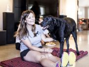 POVESTEA TRISTA a unui CAINE RASFATAT pana in ULTIMA ZI DE VIATA! GALERIE FOTO