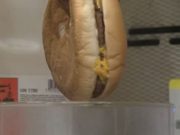 EXPERIMENT „MORTAL” cu un cheeseburger! Asta se intampla cand ajunge in stomacul tau! VIDEO
