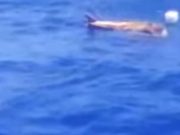 INTERPOLUL este pe jar dupa ce o FILMARE SUSPECTA din OCEANUL PACIFIC a fost postata pe YouTube! VIDEO