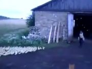 REACTIA DEMENTIALA a ratelor atunci cand FERMIERUL striga la ele! VIDEO