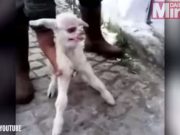 SFARSITUL LUMII prevestit de o ARATARE cu un singur OCHI! VIDEO