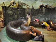 Stramosul serpilor BOA si Anaconda! TITANOBOA a fost una dintre cele mai temute REPTILE!