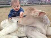 37 de imagini din 2014 cu pui de animale care o sa-ti incalzeasca sufletul!