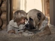 IMAGINI EMOTIONANTE cu CAINI cu suflet mare care au grija de COPII mici!