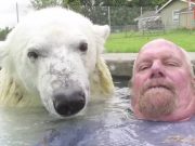 El este ursul polar din reclamele de Sarbatori! Un VIDEO care iti va da de gandit!