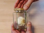 TRUC: Pune o capatana de usturoi intr-un borcan! Ce se intampla este incredibil! VIDEO