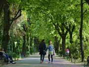 Bucurestenii din Militari au salvat un parc. Tribunalul a suspendat o autorizatie de construire pe care Primaria sectorului 6