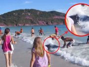 Statea linistit si filma pe plaja! Ce a iesit din apa este un miracol ce se intampla o data in viata! VIDEO