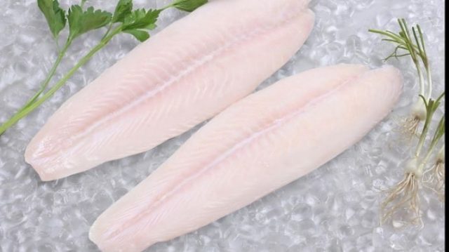 pangasius_opt