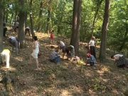 Manastirea la care se gasesc „lacrimile Maicii Domnului”. De ce le cauta credinciosii in genunchi, la radacinile copacilor