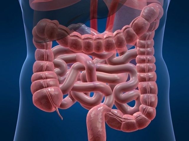 colon_opt