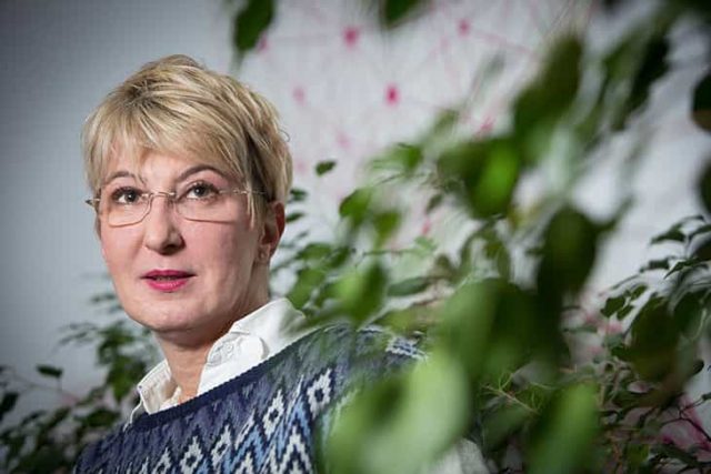 main-tivadar_opt-min