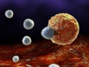 Boala veche de 66 de milioane de ani care afecteaza omenirea si astazi