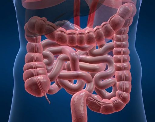Obiceiul alimentar care a triplat imbolnavirile de cancer la colon dupa Revolutie!