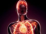 Aceasta enzima te poate ajuta sa rezolvi problema inflamatiei pentru totdeauna!