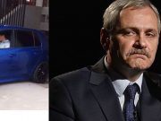 Se strange latul in jurul lui Dragnea! Procurorii au descins la ferma de porci a lui Dragnea jr.!