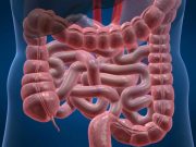 Daca vrei sa ai un colon sanatos, include aceste obiceiuri in rutina ta zilnica!
