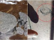 O bucata de meteorit, de 4,5 miliarde de ani, a cazut intr-un oras italian