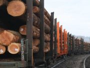 Fakenews al propagandei ruse care inflameaza Romania: trenurile cu busteni care ies din tara!