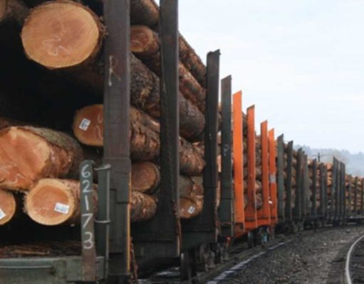 Fakenews al propagandei ruse care inflameaza Romania: trenurile cu busteni care ies din tara!